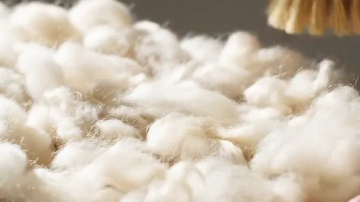 A soft brush over white fibers