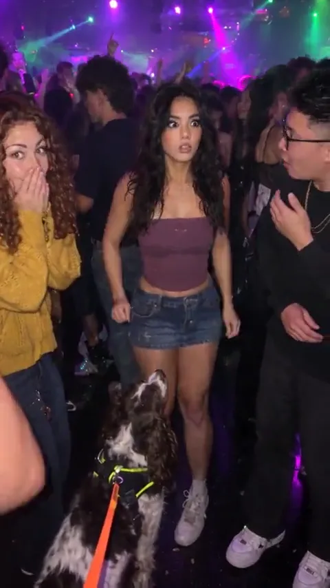 How to Make a Caught by the Sniffer Dog AI Video